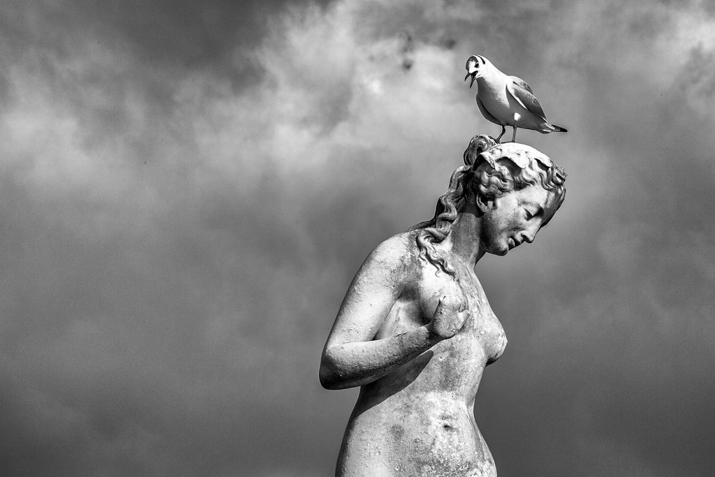 Statue-Marc-Palmia-OI-OI95.jpg